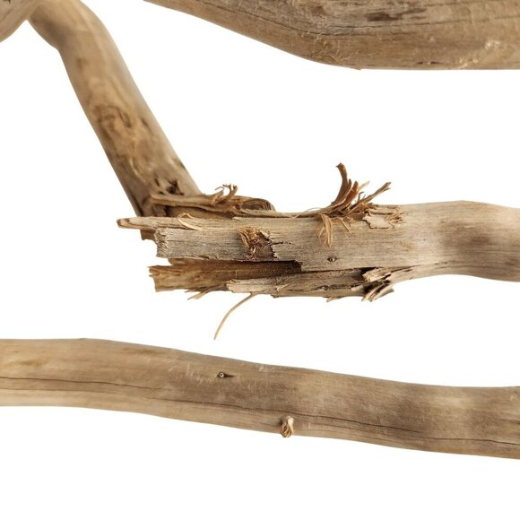 Natural Driftwood Pieces For Crafting & Home Decor 5 pieces - Picture 3 of 11